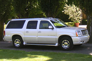 Silver Luxury Truck 